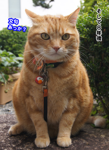 joji0422.jpg