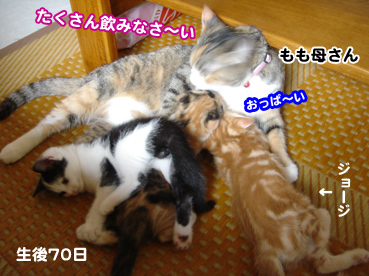 joji1557.jpg