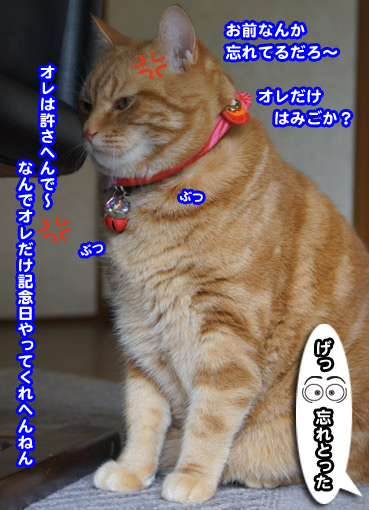 joji7937.jpg
