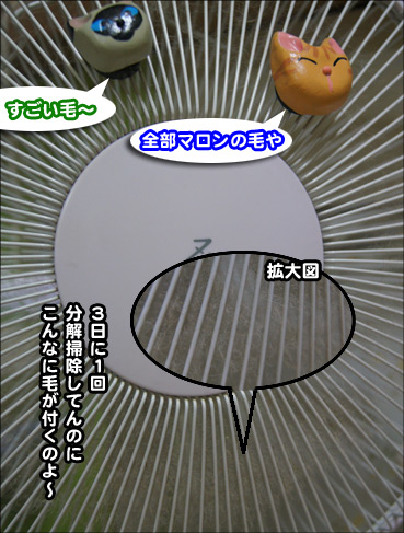 ke0460.jpg