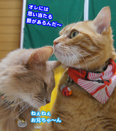 gotun9045.jpg