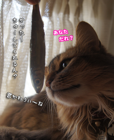 iwasi4680.jpg