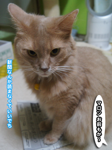 TV5719.jpg