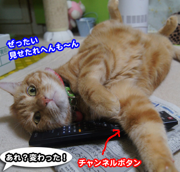 TV5705.jpg