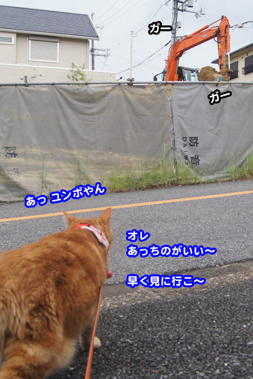 gakou4625.jpg