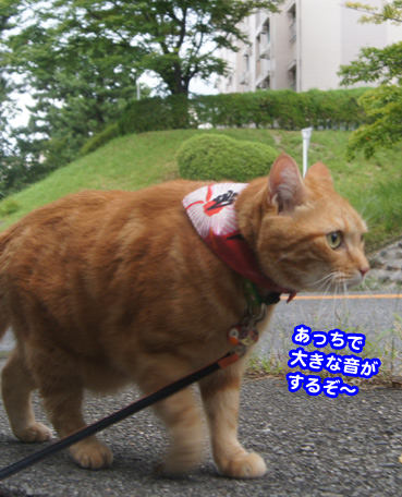 gakou4622.jpg