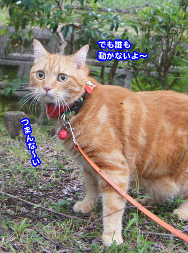 gakou4605.jpg