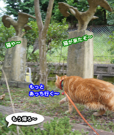 gakou4607.jpg