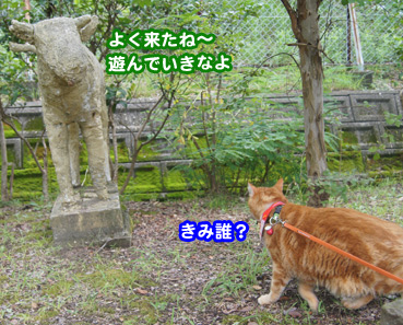 gakou4592.jpg
