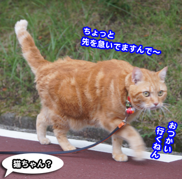 gakou4584.jpg