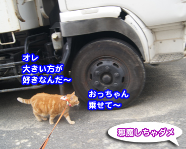 car4634.jpg