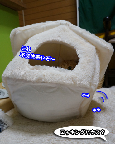 house0535.jpg