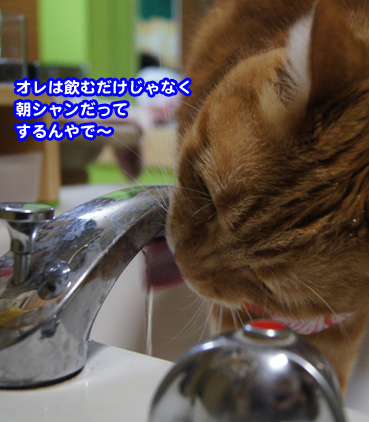 mizu3663.jpg
