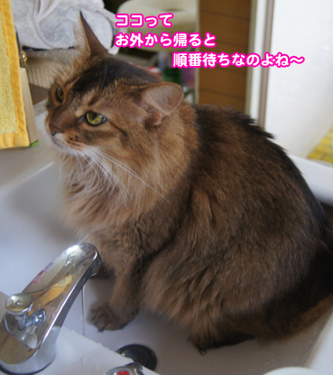 mizu4666.jpg