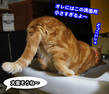 mizu3657.jpg