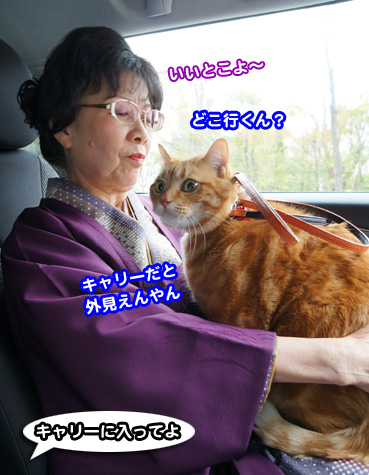 chiku3360.jpg