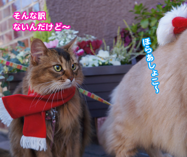 xmas3889.jpg