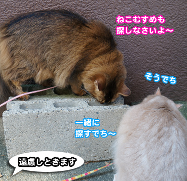 zubo0200.jpg