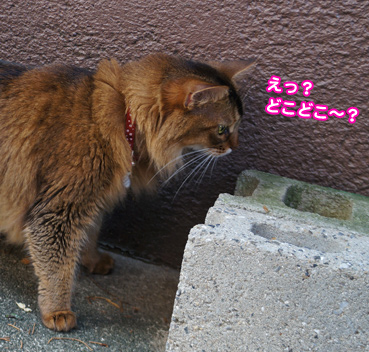 zubo0192.jpg