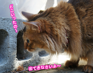 zubo0174.jpg