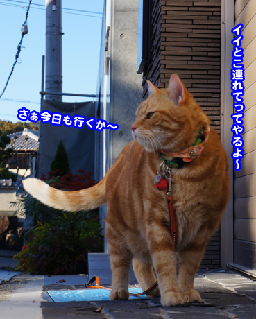 kouji3982.jpg