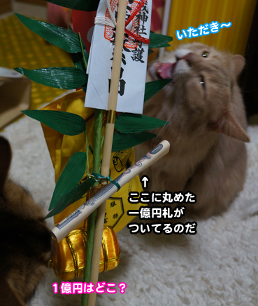 ebesu6557.jpg