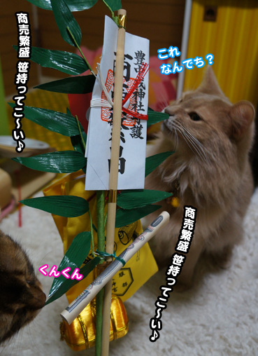 ebesu6555.jpg