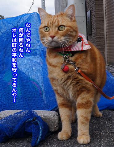 yamete5639.jpg