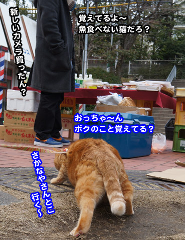 kaeri6909.jpg