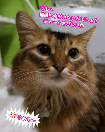 yamete0844.jpg