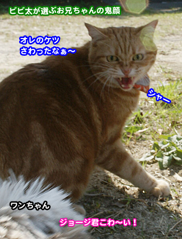 oni08641.jpg