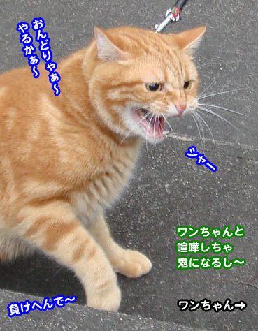oni00501.jpg