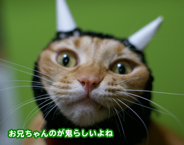 oni0939.jpg