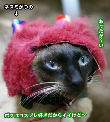 oni0951.jpg
