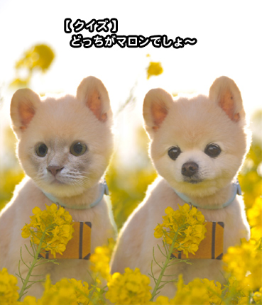 kensuke.jpg
