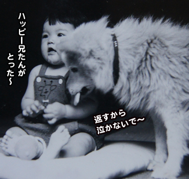 chin6365.jpg