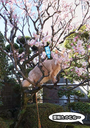kuri0489.jpg