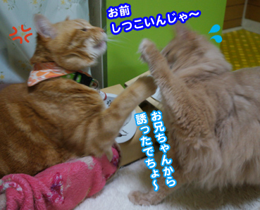 pass0058.jpg