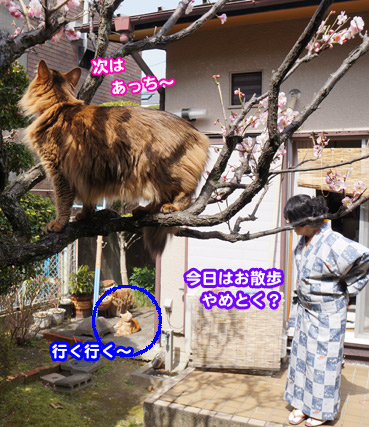 sinpai6819.jpg