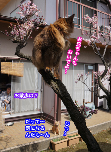 sinpai6757.jpg