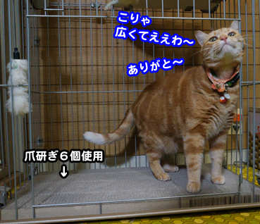 tume2233.jpg