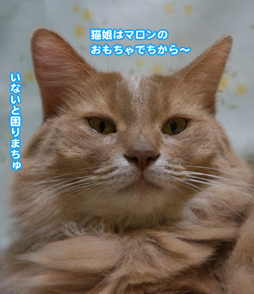 tume0403.jpg