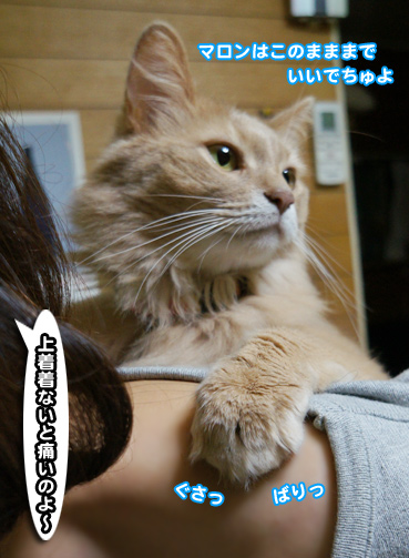 onbu2173.jpg