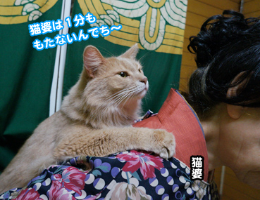 onbu5154.jpg
