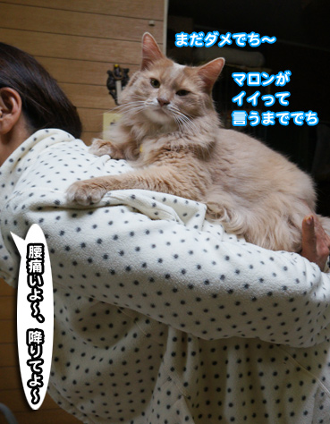 onbu5219.jpg