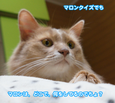 onbu4992.jpg