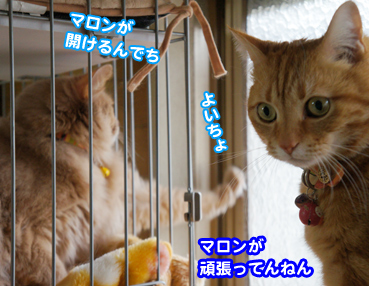 mado2207.jpg