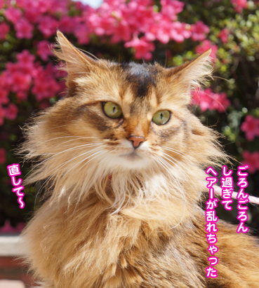 satuki6333.jpg