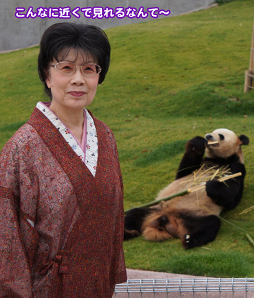 panda6656.jpg