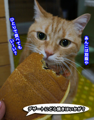 cake7380.jpg